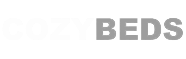 image removebg preview 1